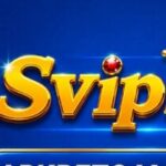 SVIP Game