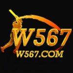 W567 Game