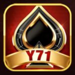 Y71 game