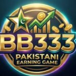 BB 333 Game